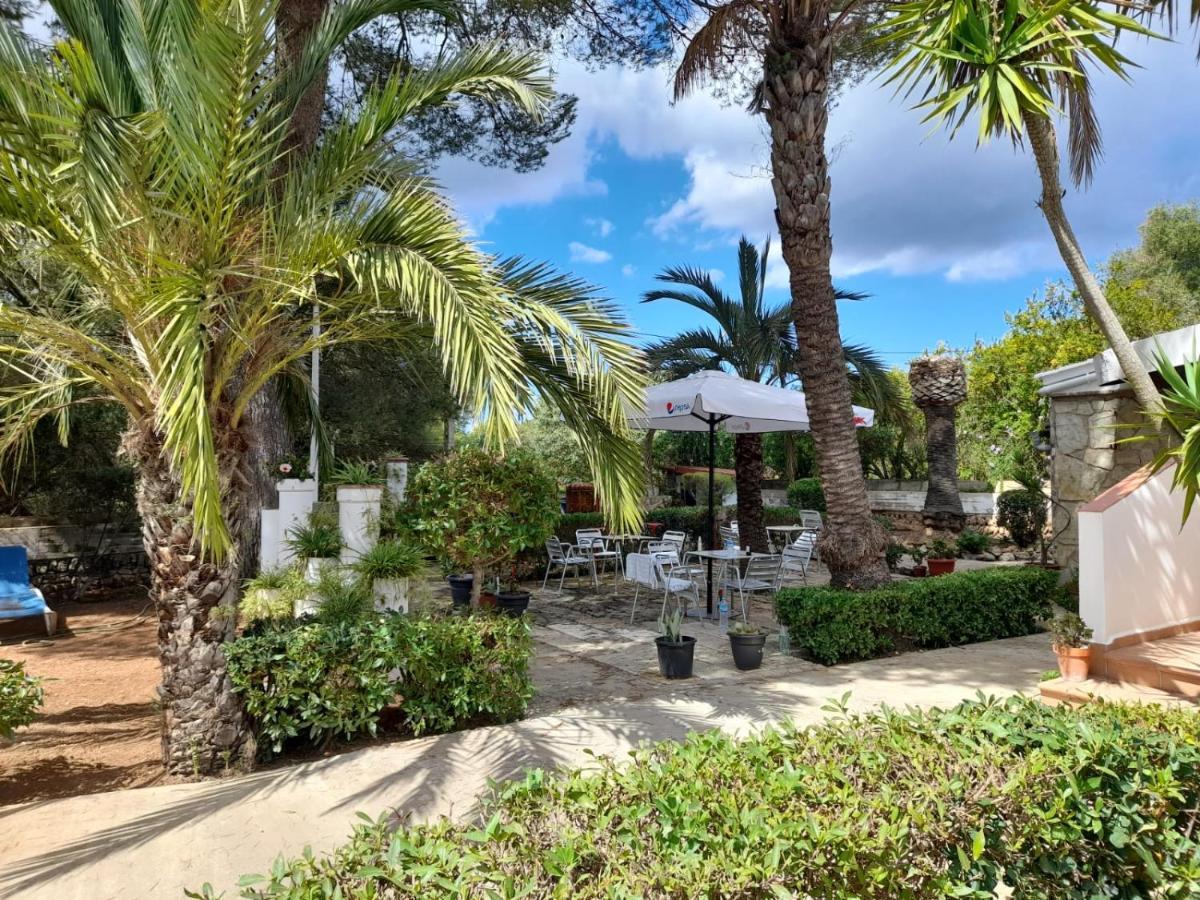 Hostal Residencia Alma Port de Alcudia  Exterior foto